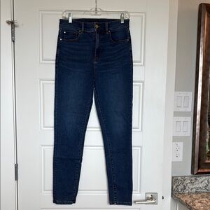 Ann Taylor Midnight Blue Skinny Jeans